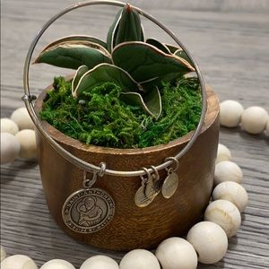 Alex and ani bracelet